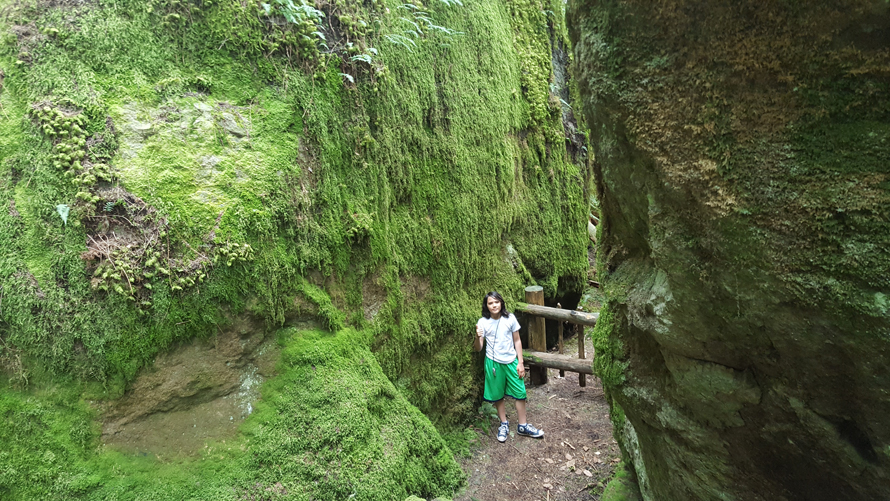 On an Issaquah Alps hike on the Talus Rocks Trail, see glacial erratics, or giant boulders
