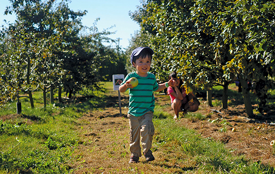 Boy at The Farm at Swan’s Trail