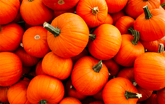 Pumpkins