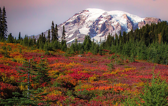 Mount Rainier