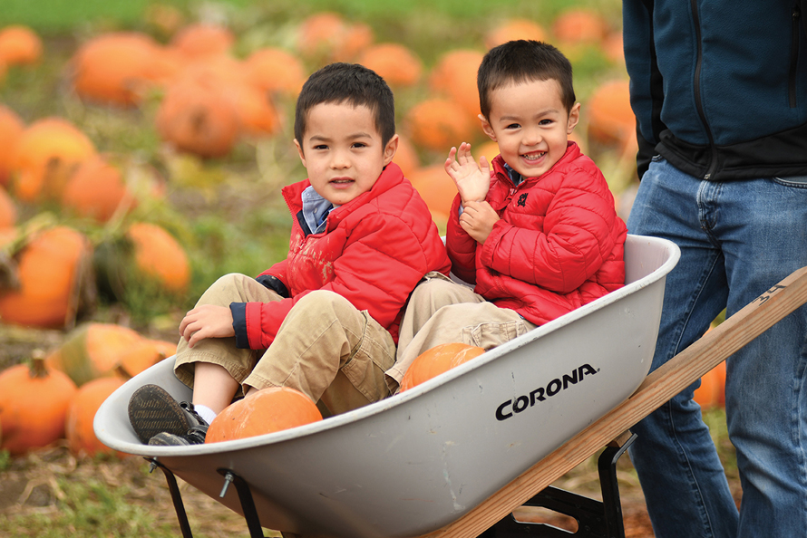 two boys in a wheelbarrow with pumpkins