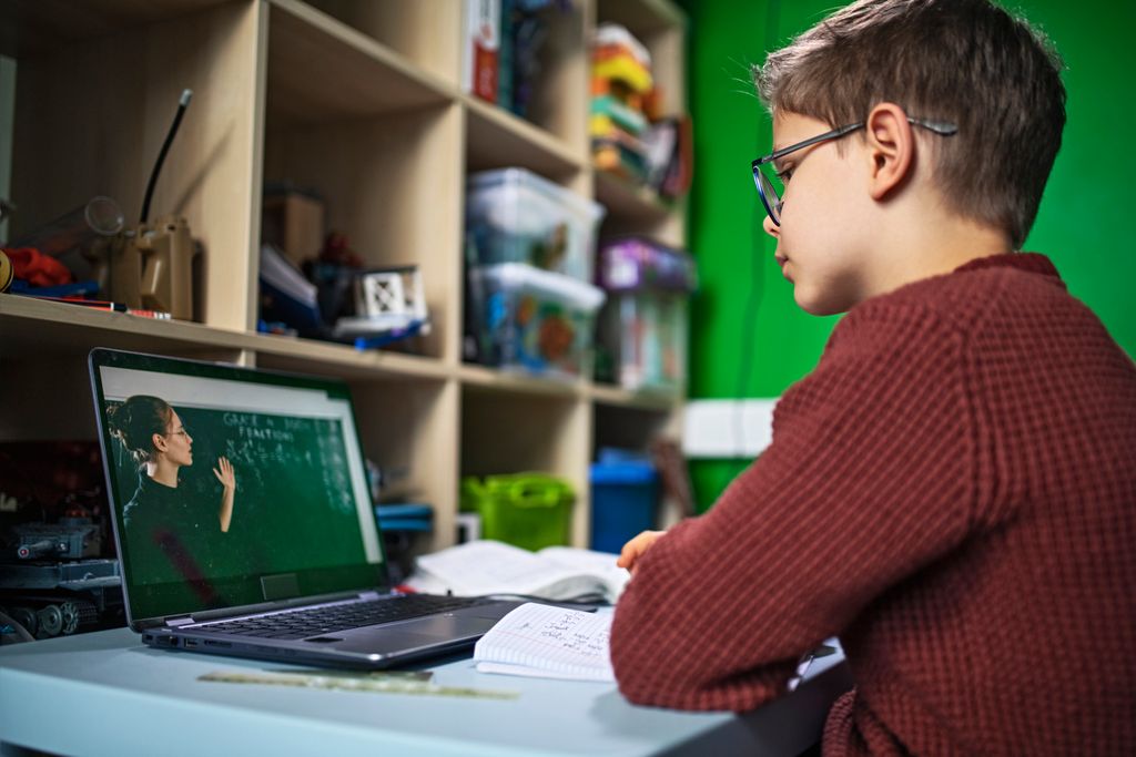 The Pornographic Perils of Virtual Schooling