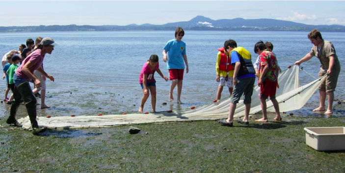 All Ages Beach Seine