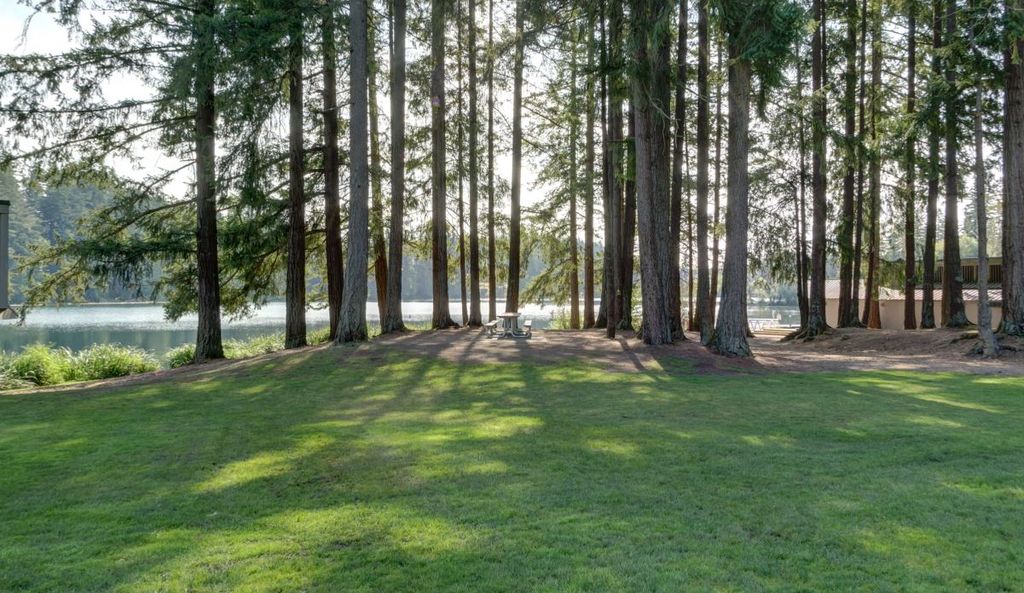 Maple Valley Music and Movies in the Park