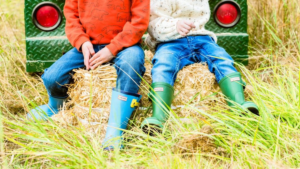 Toddler Tuesday at Infinity Farm Issaquah