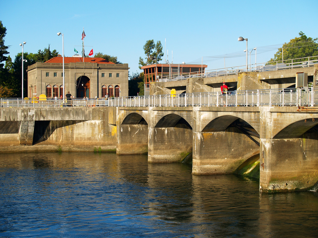 Ballard Locks Free Public Tours
