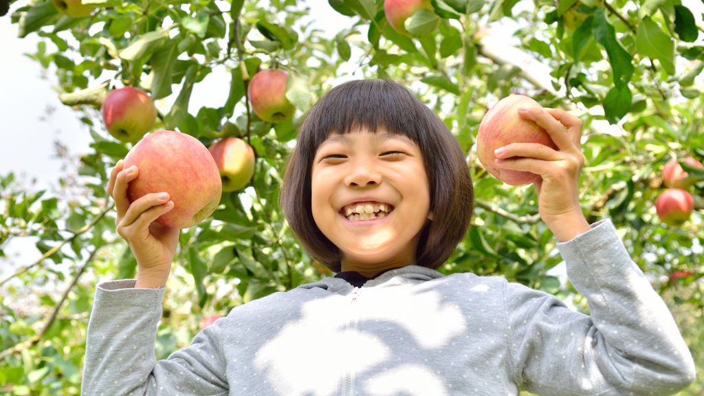 10 Places to Go Apple Picking in Washington