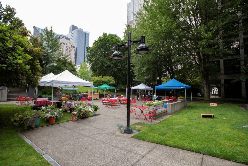 Freeway Park In Bloom