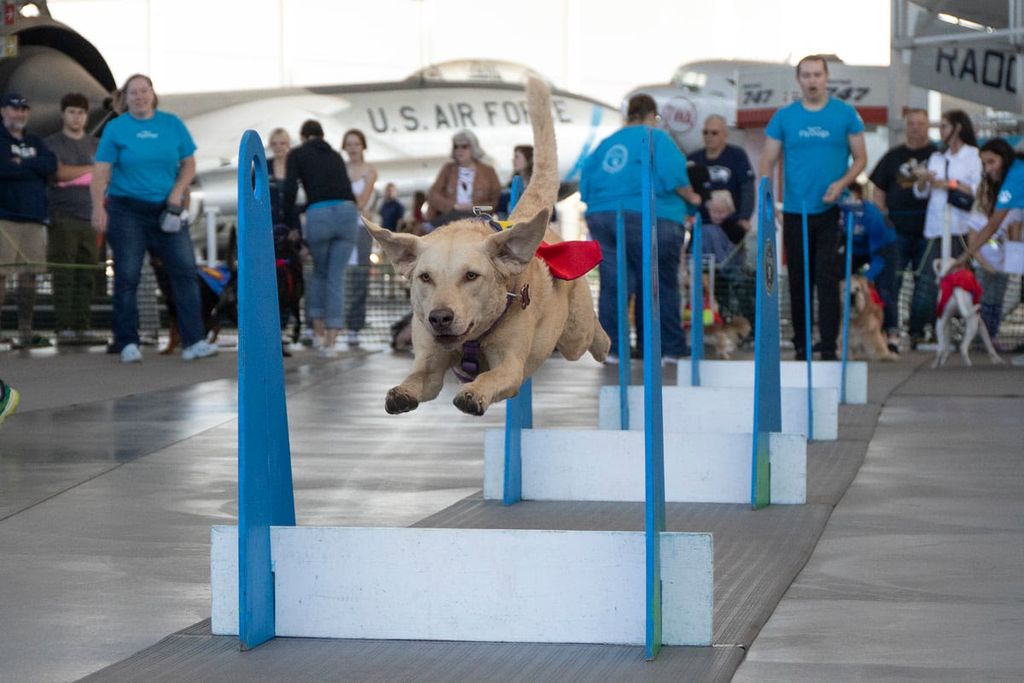 Seattle FlyDogs at The Museum of Flight