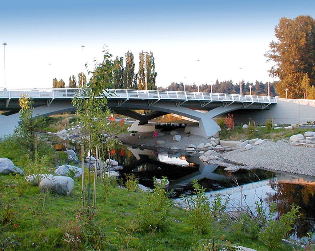 Salmon SEEson at 90th St Bridge in Redmond