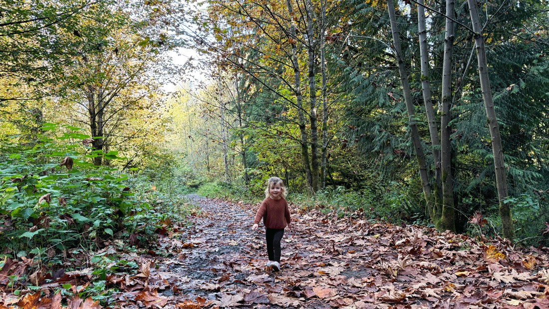 young kid on a fall hike at lord hill regional park in snohomish