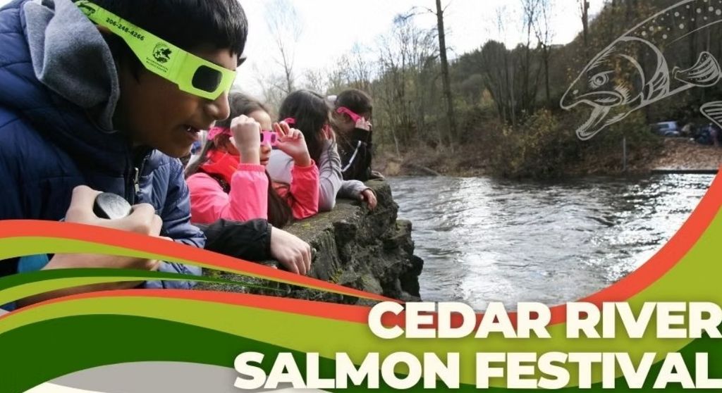 Cedar River Salmon Festival