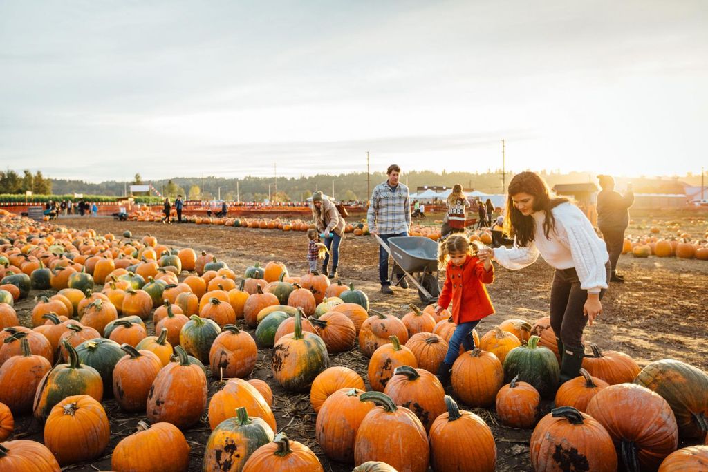 Carpinito Brothers Fall Festival