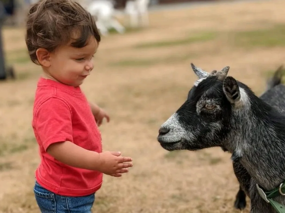 Des Moines Waterland Kids’ Festival