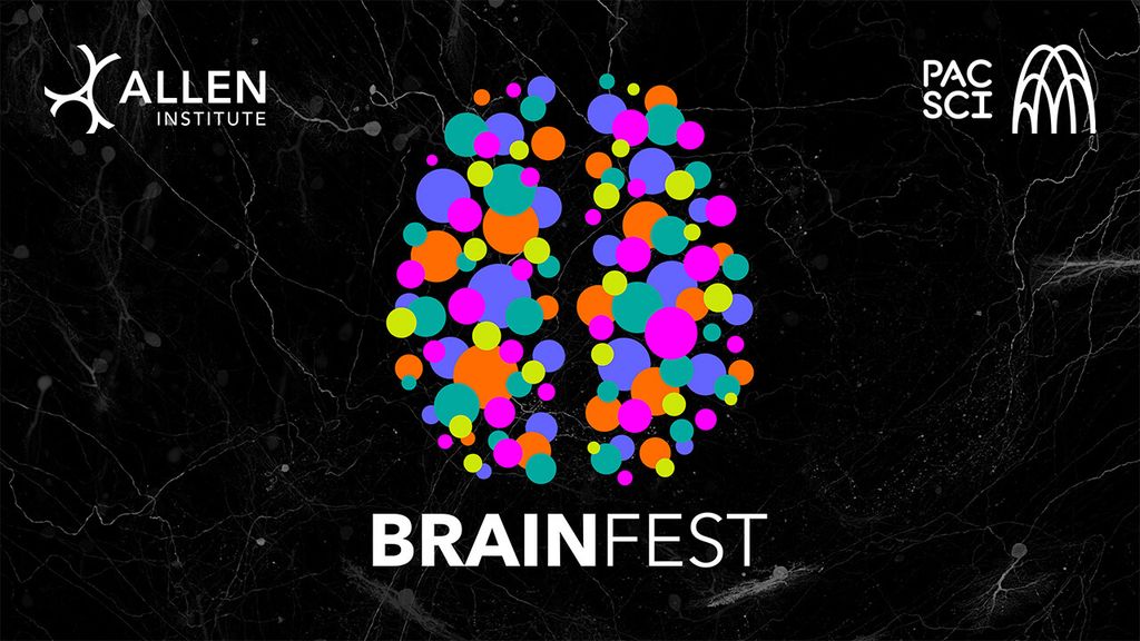 BrainFest With Allen Institute