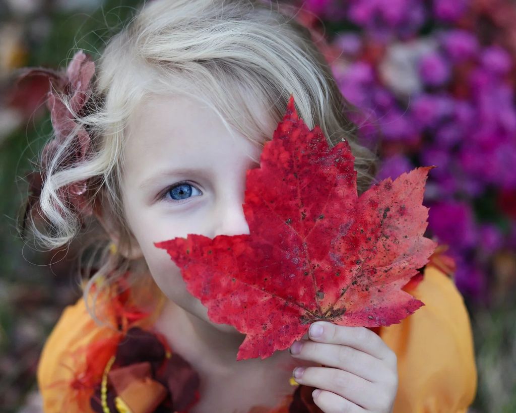 AutumnFest Family Fun at Evergreen Arboretum and Gardens