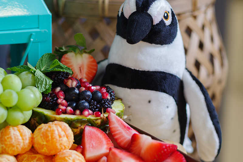 Pancakes with Penguins