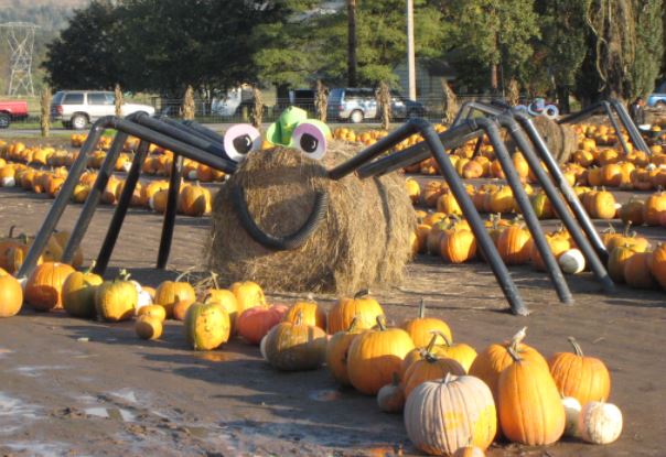Spooner Farms Harvest Festival