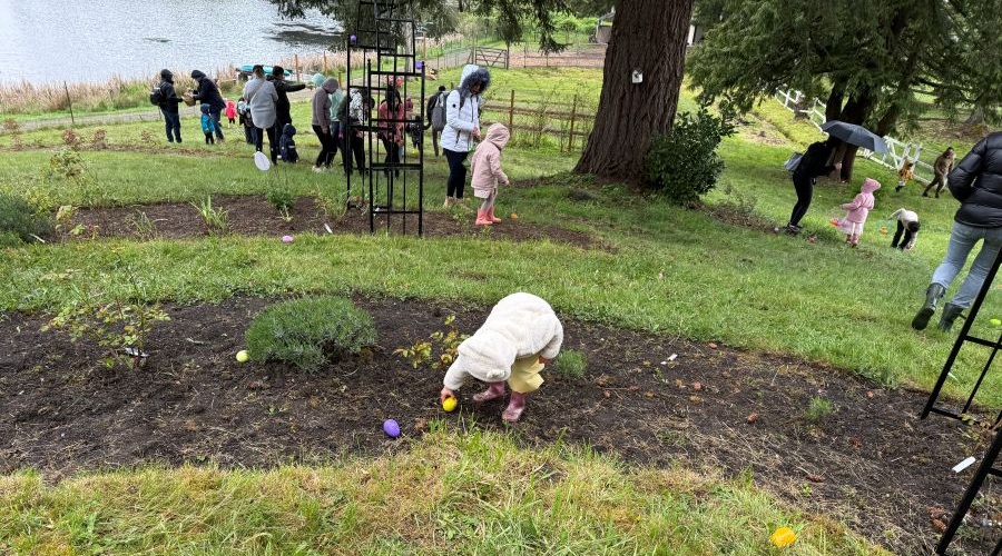 Kids hunt for Easter eggs at a farm.