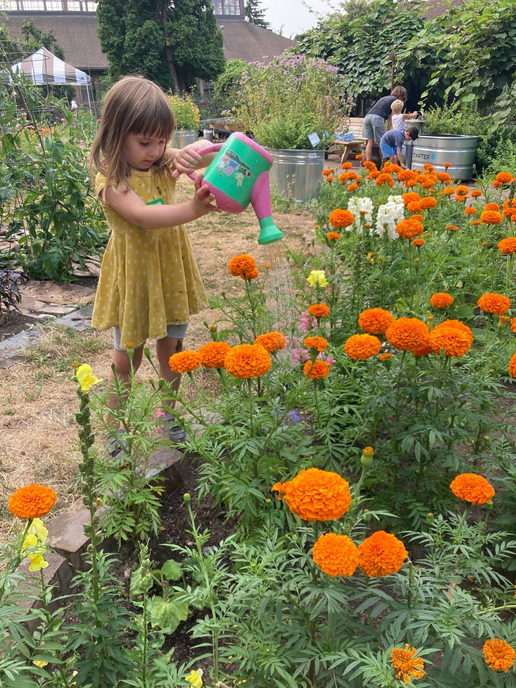 Saplings Camp – Wallingford