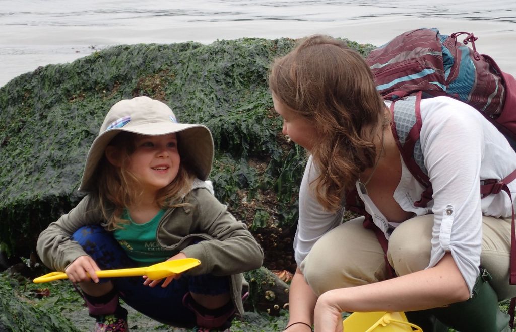 Low Tide Beach Exploration