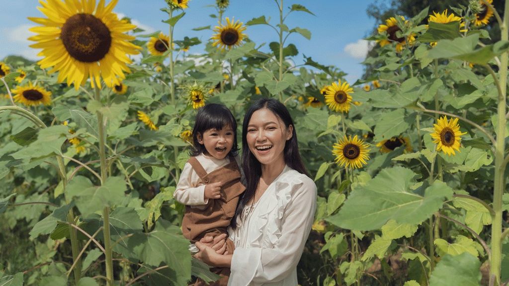 Sunflower Festivals and Fields for Seattle-Area Families