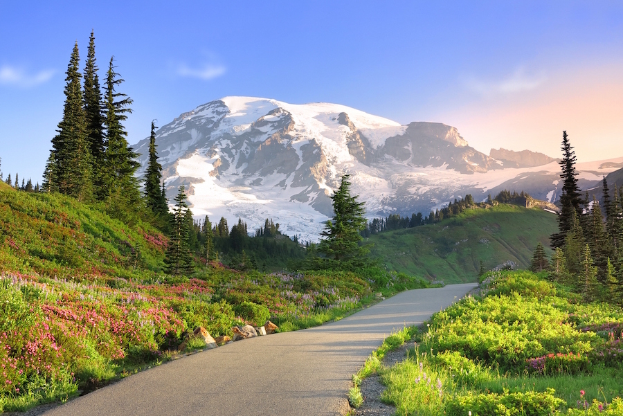 Mount Rainier