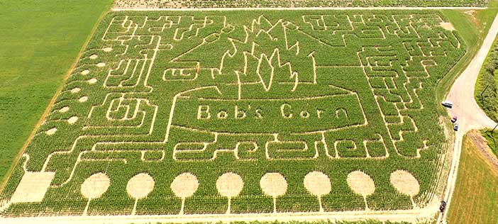 Fall Festival at Bob’s Corn and Pumpkin Farm
