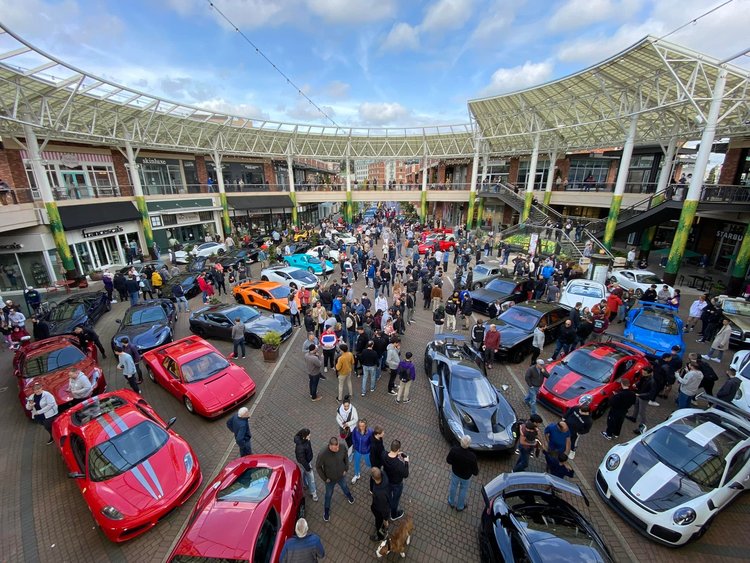 Exotics at Redmond Town Center