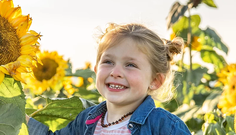 Stocker Farms Sunflower Days