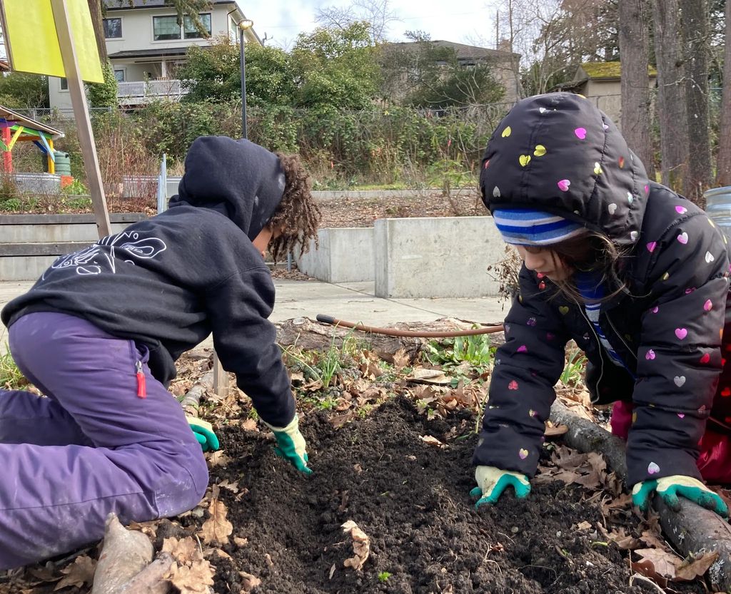 Up in the Garden, Down in the Dirt