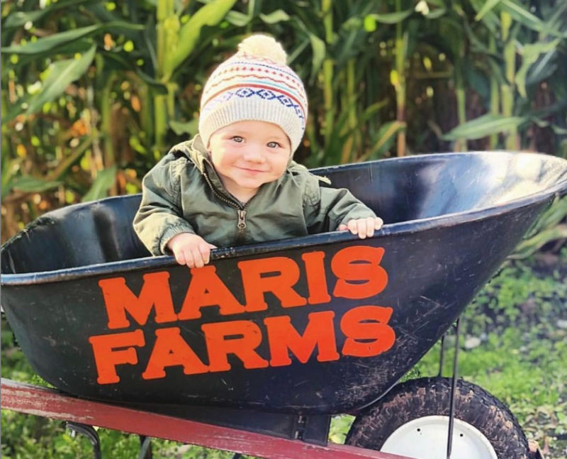 Maris Farms Fall Festival