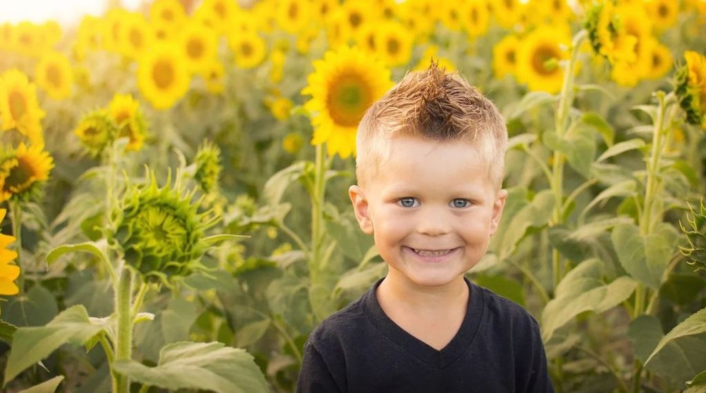 Schilter Family Farm Sunflower Experience