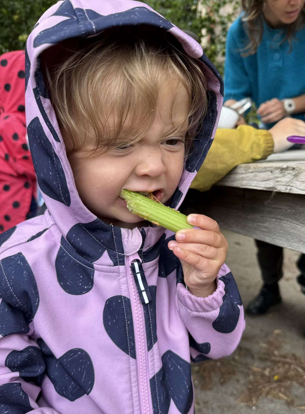 Spring Harvest