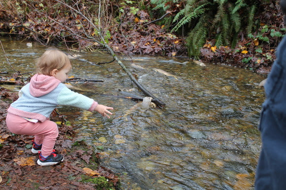 Salmon Fest at Mary Olson Farm