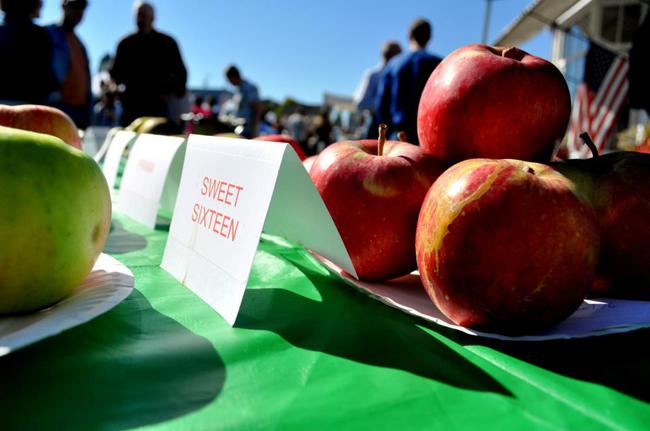Steilacoom Apple Squeeze