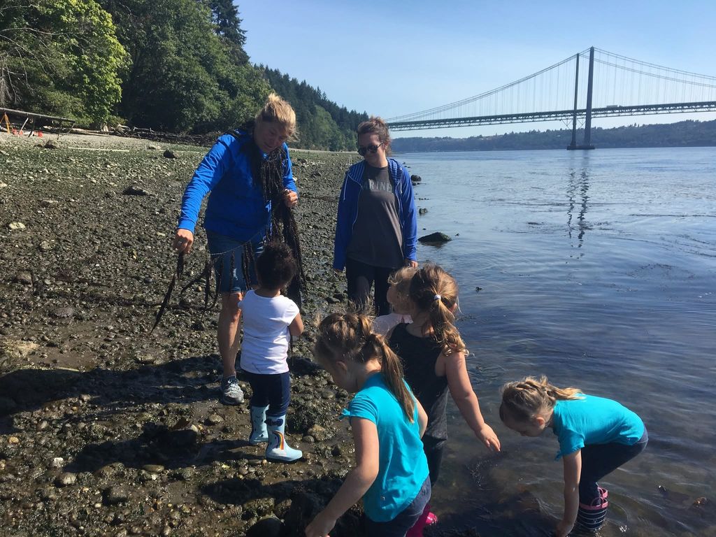 Low Tide Tour at Tacoma Narrows Park