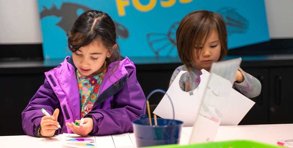 Fossil Finders: It’s About Time — New Year’s Party
