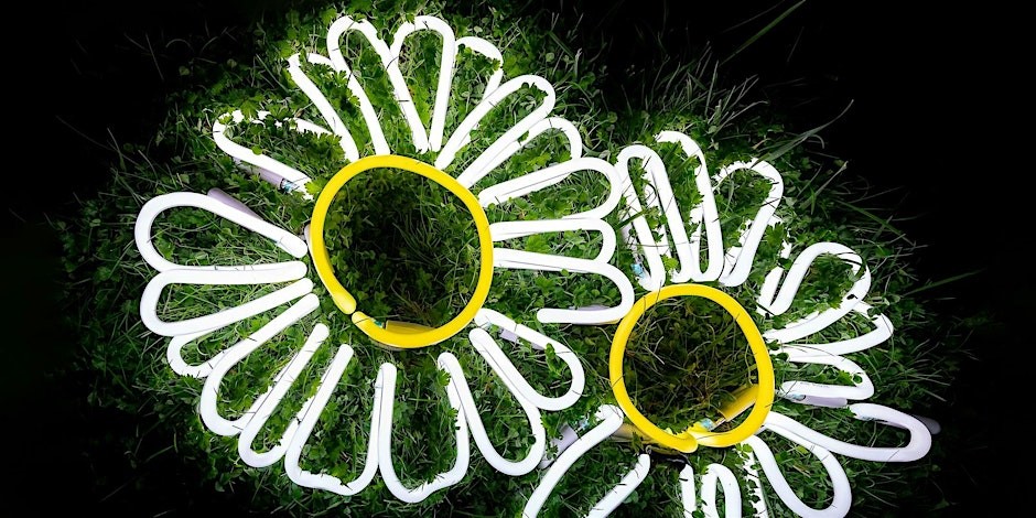 Light the Forest – Neon Installation Tour