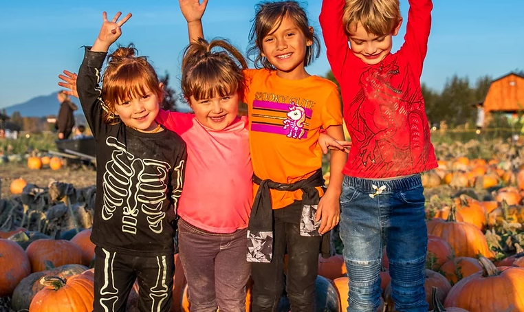 Stocker Farms Fall Festival