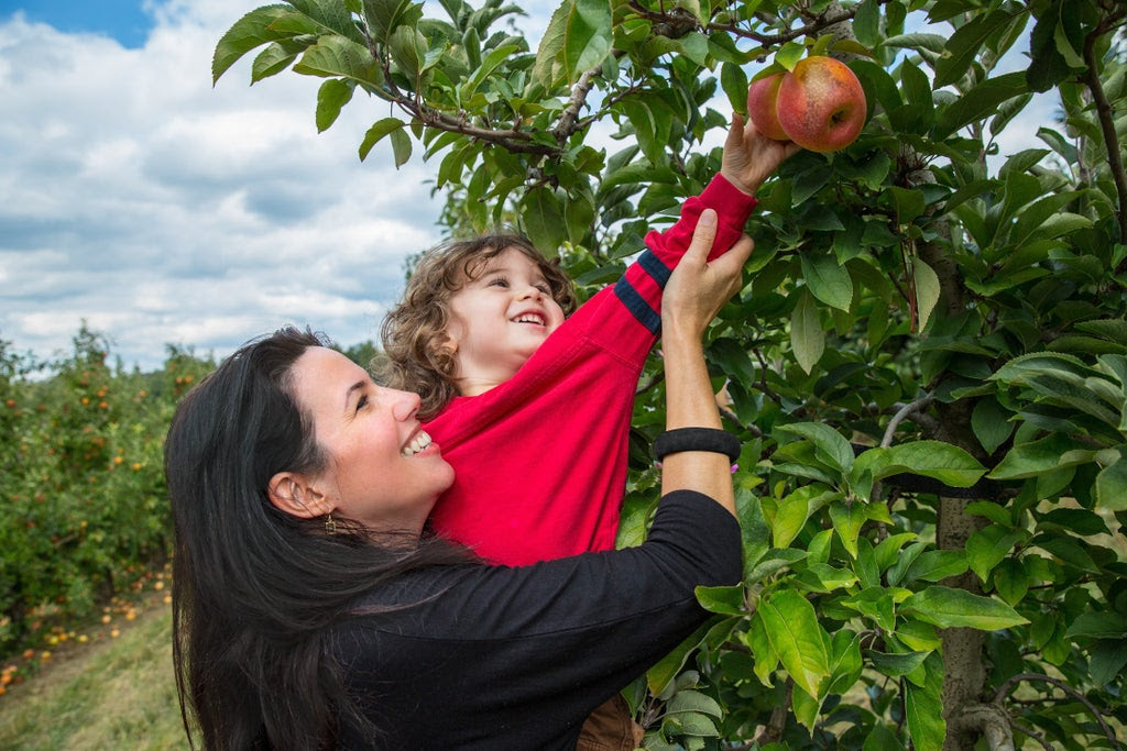 Bellewood Farms Harvest Festival