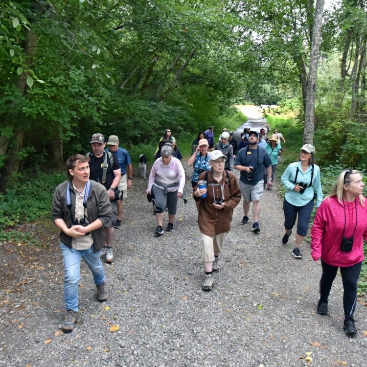 Point Defiance Bird Walk