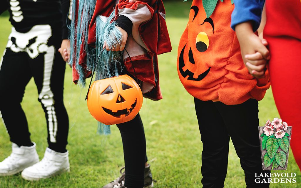 Trick-or-Treat at Lakewold Gardens