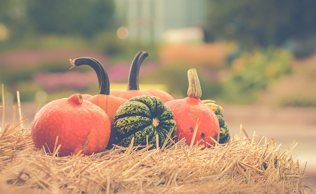 Normandy Park Fall Frolic
