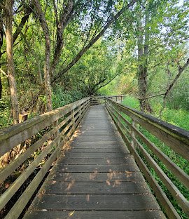 Bats and Beavers Walk