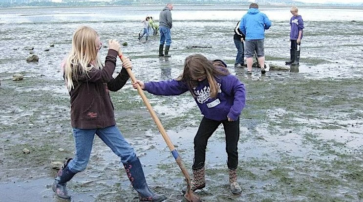 Mini Explorers: Mudflat Safari