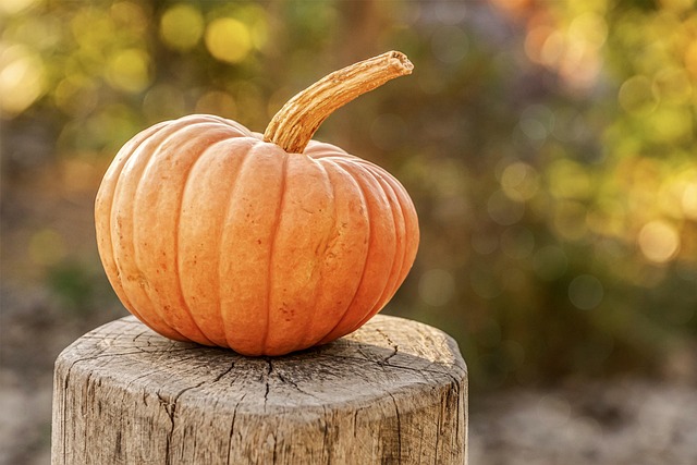 Covington Family Fall Fest