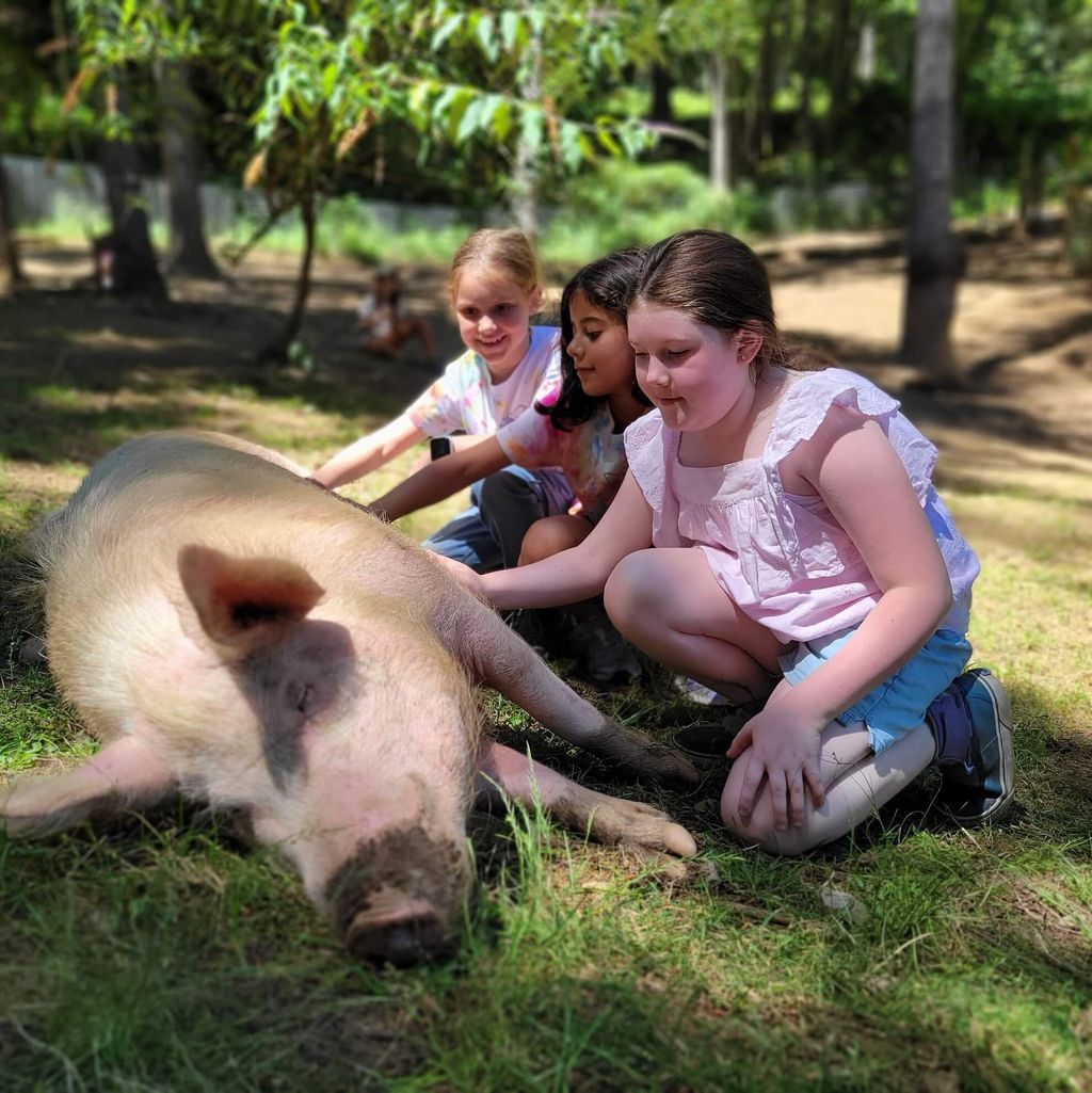 Animal Compassion Workshop