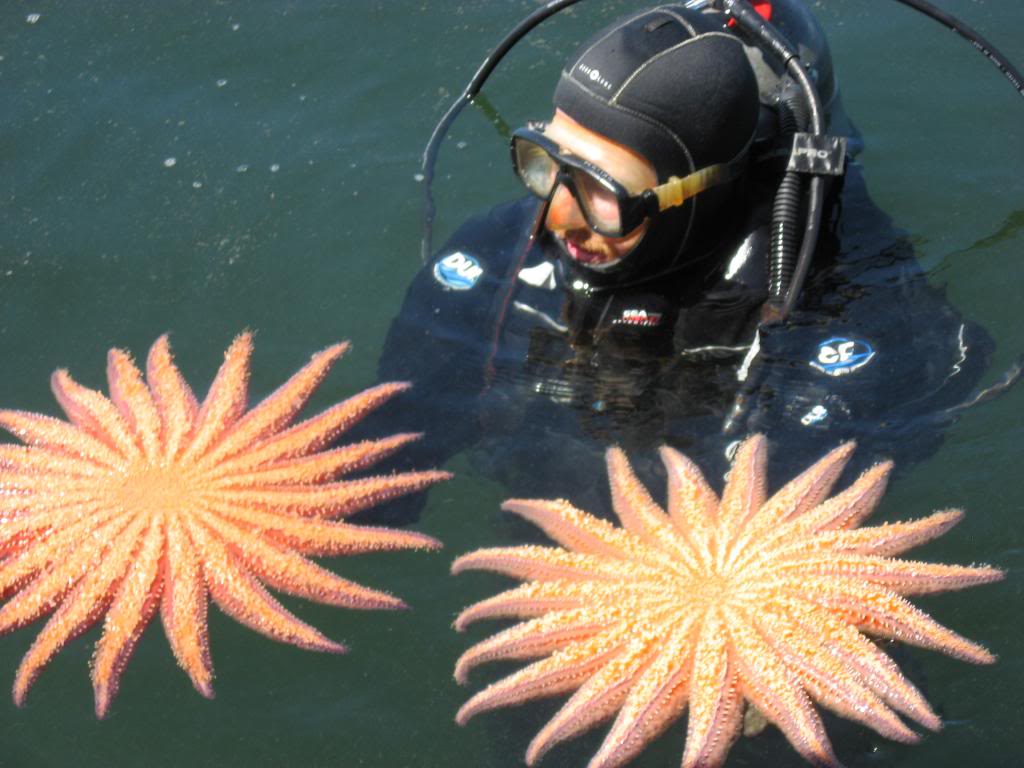 Marine Creature Monday with Stream Team