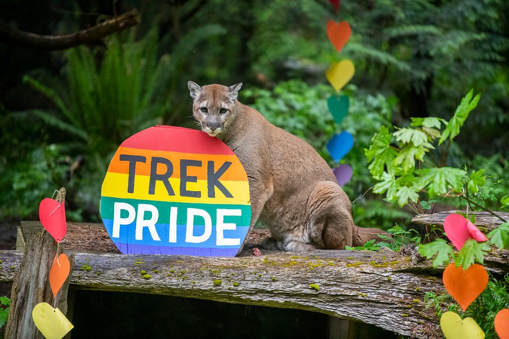 Pride Celebration at NW Trek
